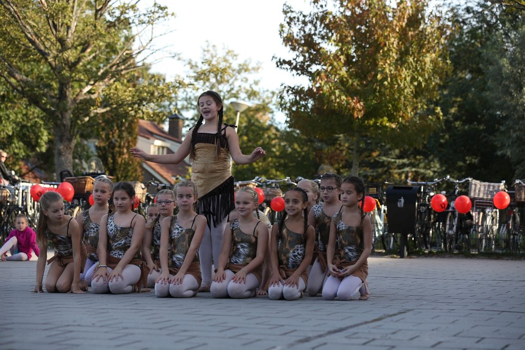 Schoolplein Festival B 178.jpg